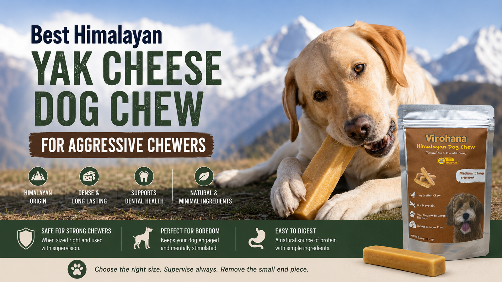 Golden Labrador dog chewing a Himalayan yak cheese dog chew on a grassy mountain background, with Virohana Himalayan Dog Chew package