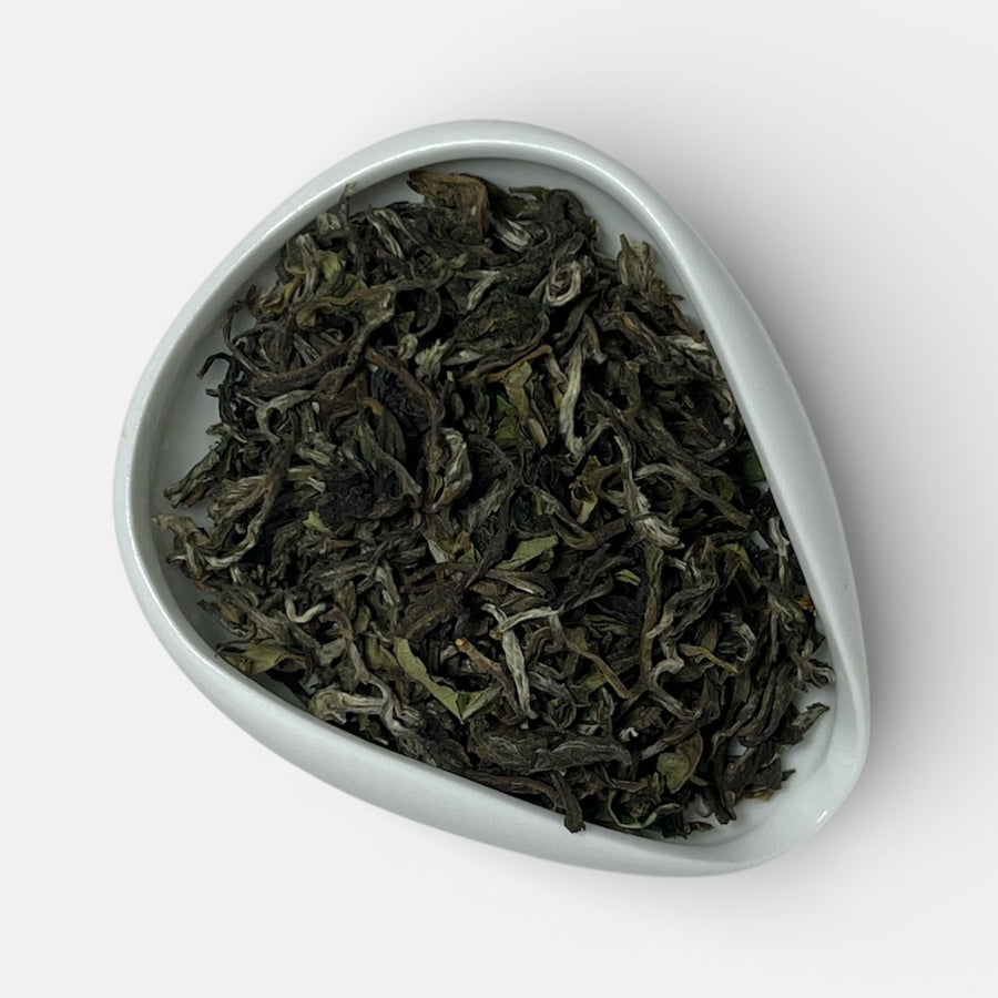 Tea leaves in a white ceramic dish on a white background
