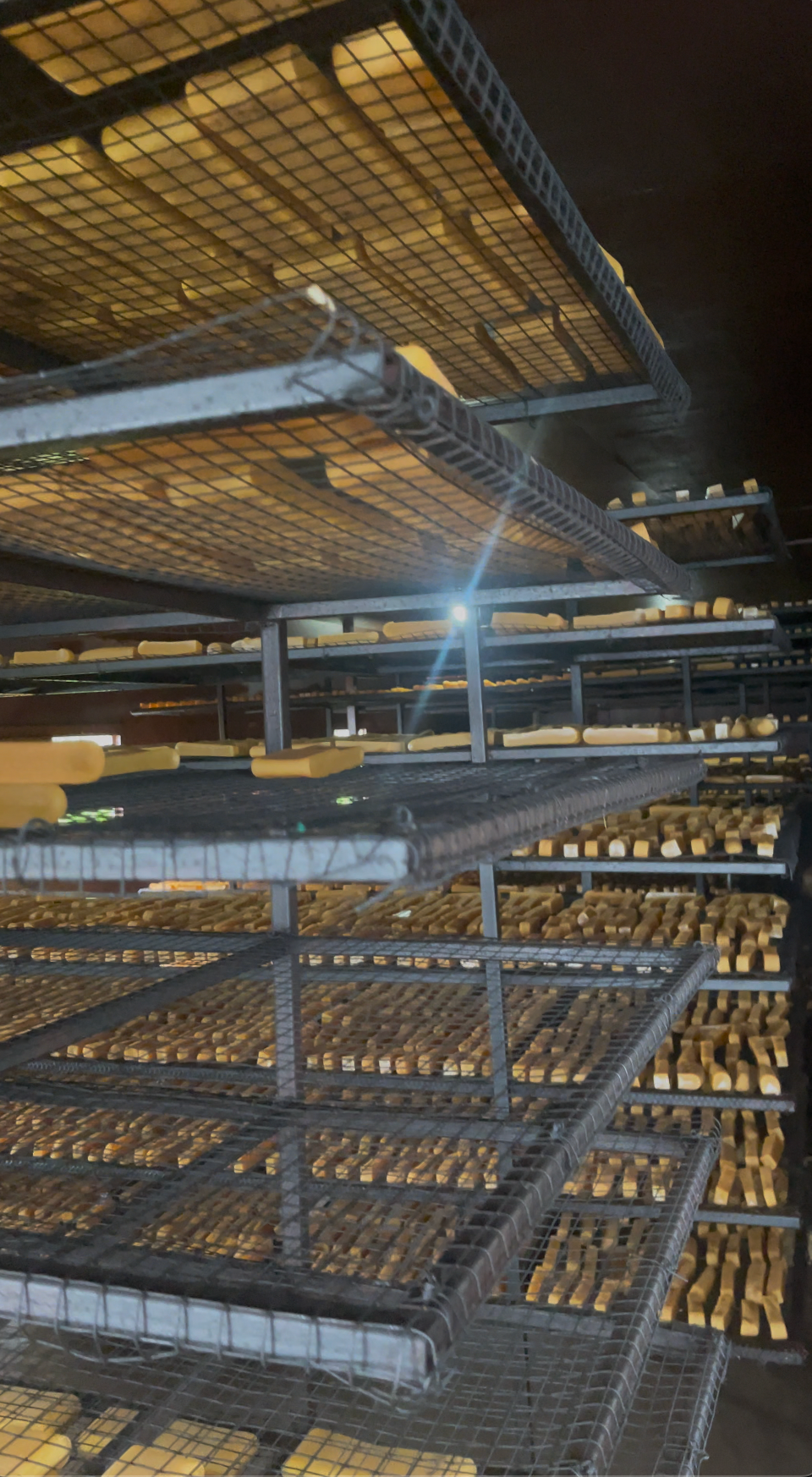a batch of dog chews drying in factory