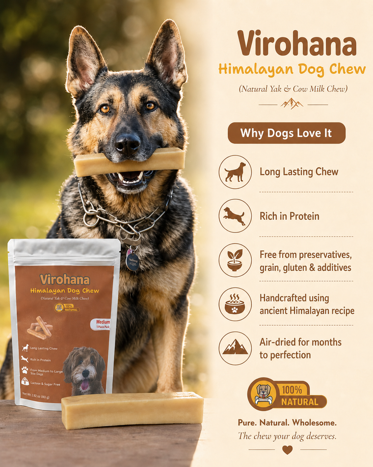 Dog chewing on a Virohana Himalayan Dog Chew with product packaging and benefits listed.