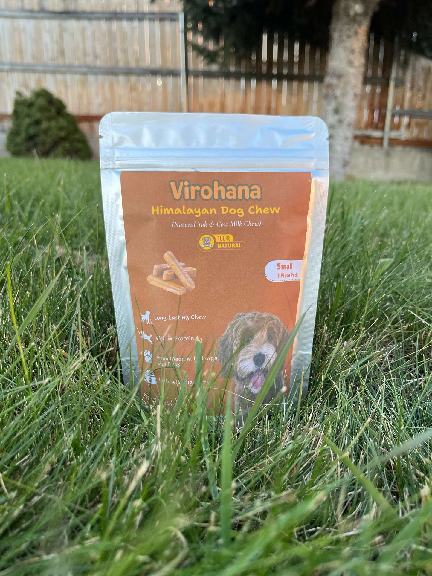 Himalayan Dog Chews | Long-Lasting Yak Cheese Chew