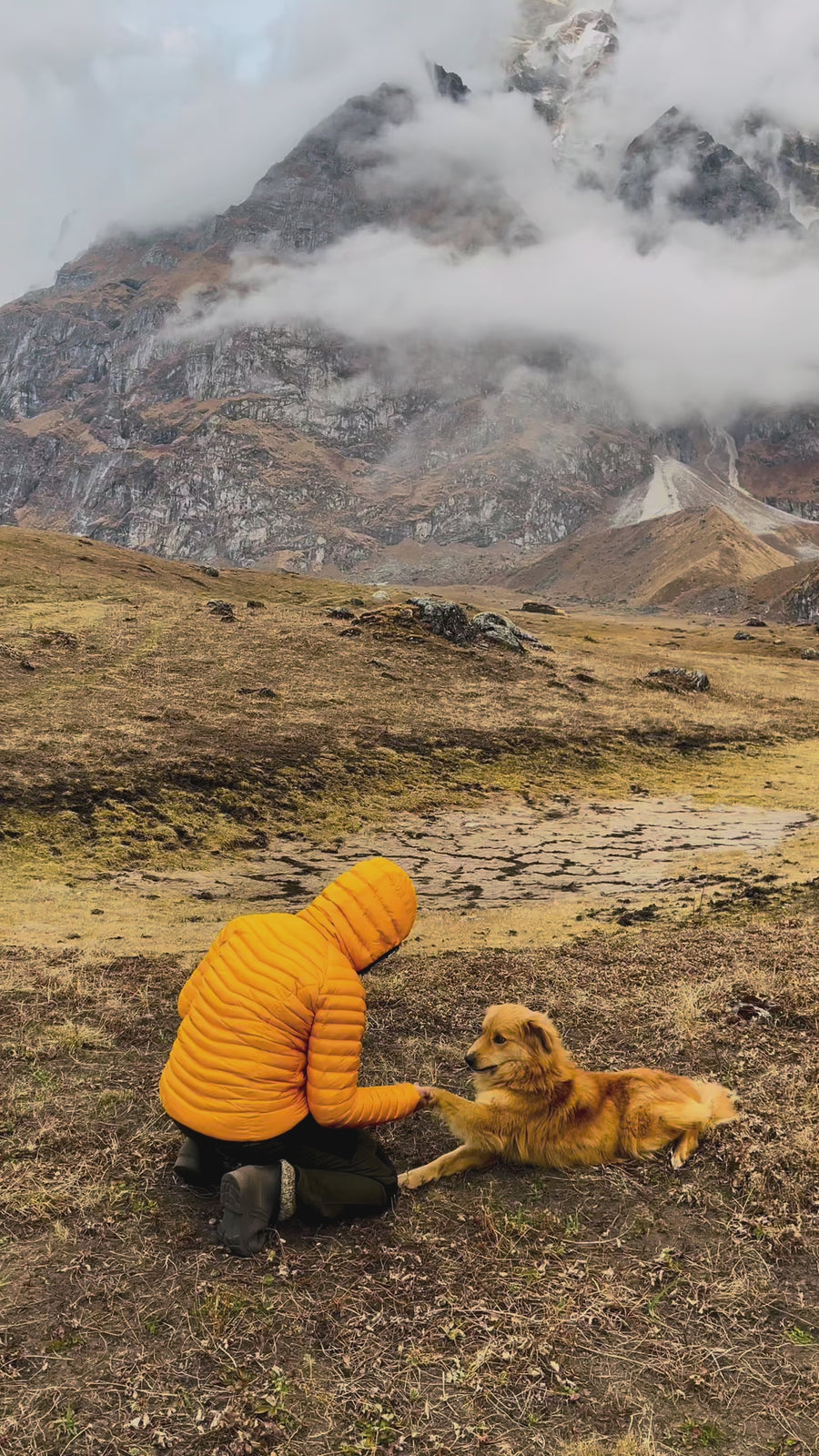 girl playing with dog infront of scenic mountain
