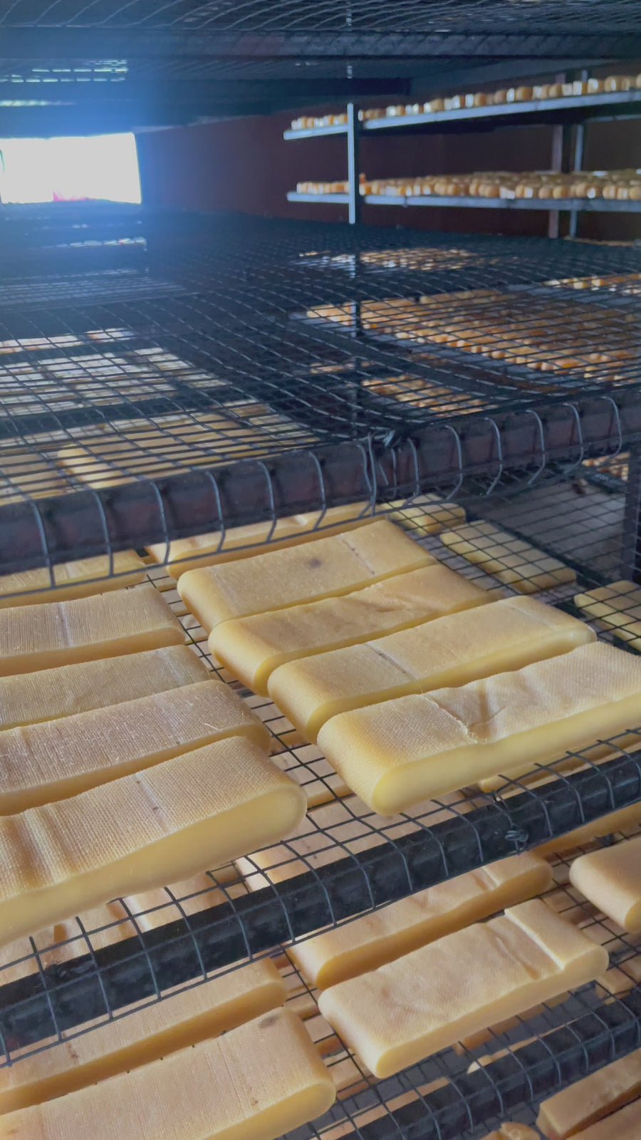 dog chew drying process