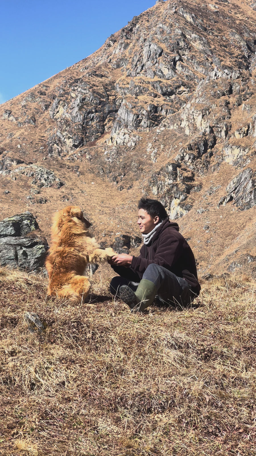 man playing with dog in mountain