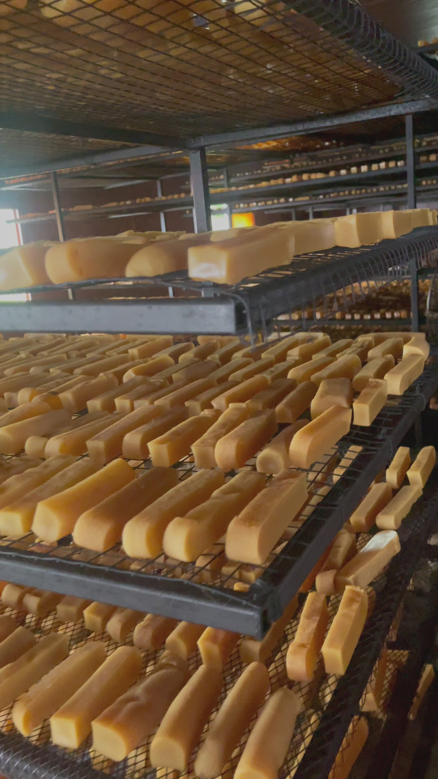 Dog chew Factory Visit
