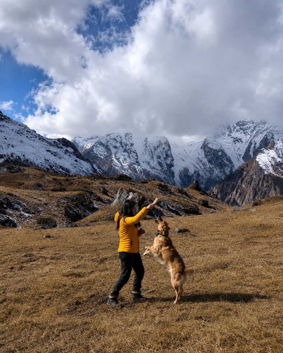 Person in yellow jacket playing with a dog in a mountainous landscape