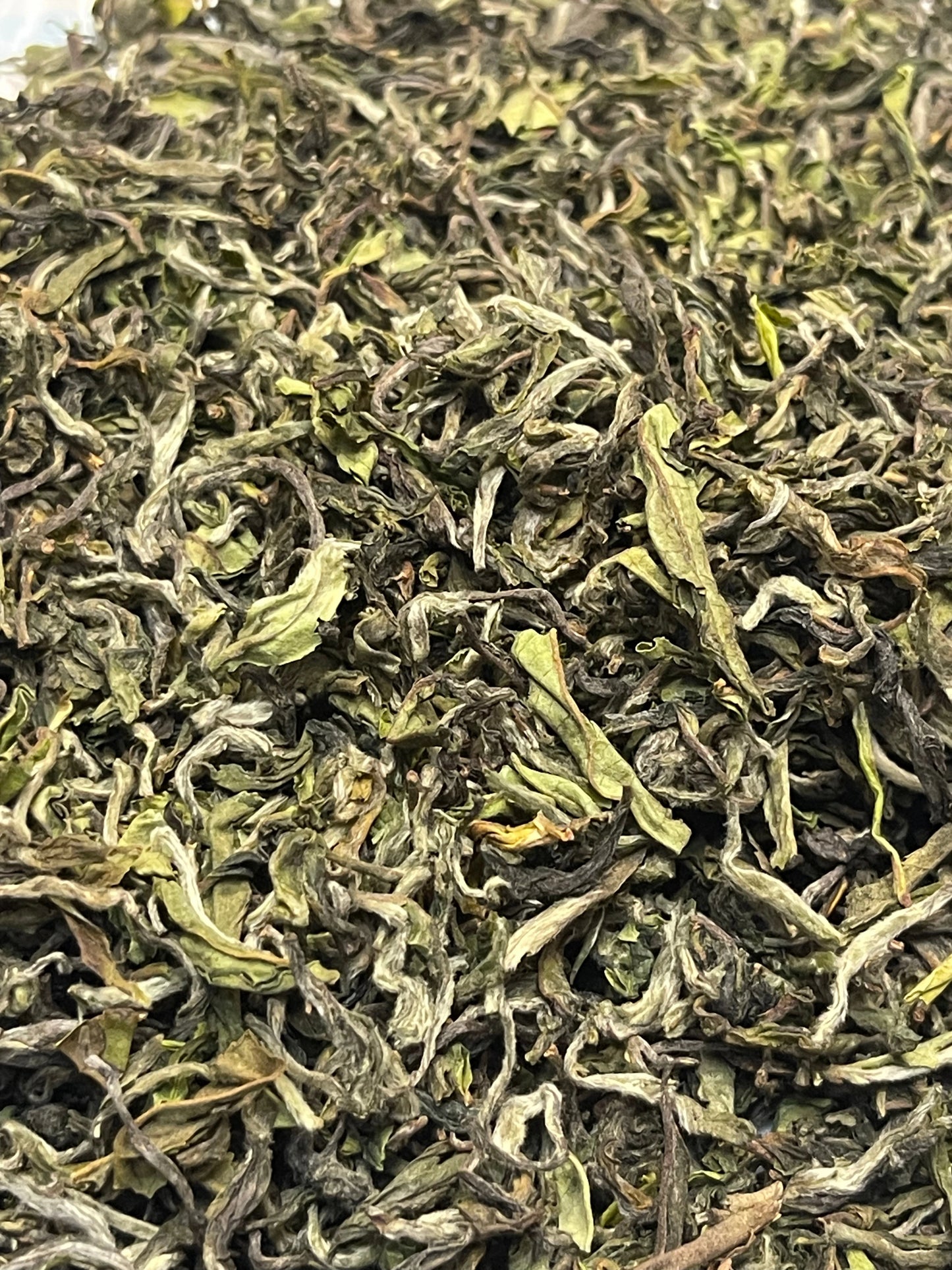 Close-up of dried green tea leaves