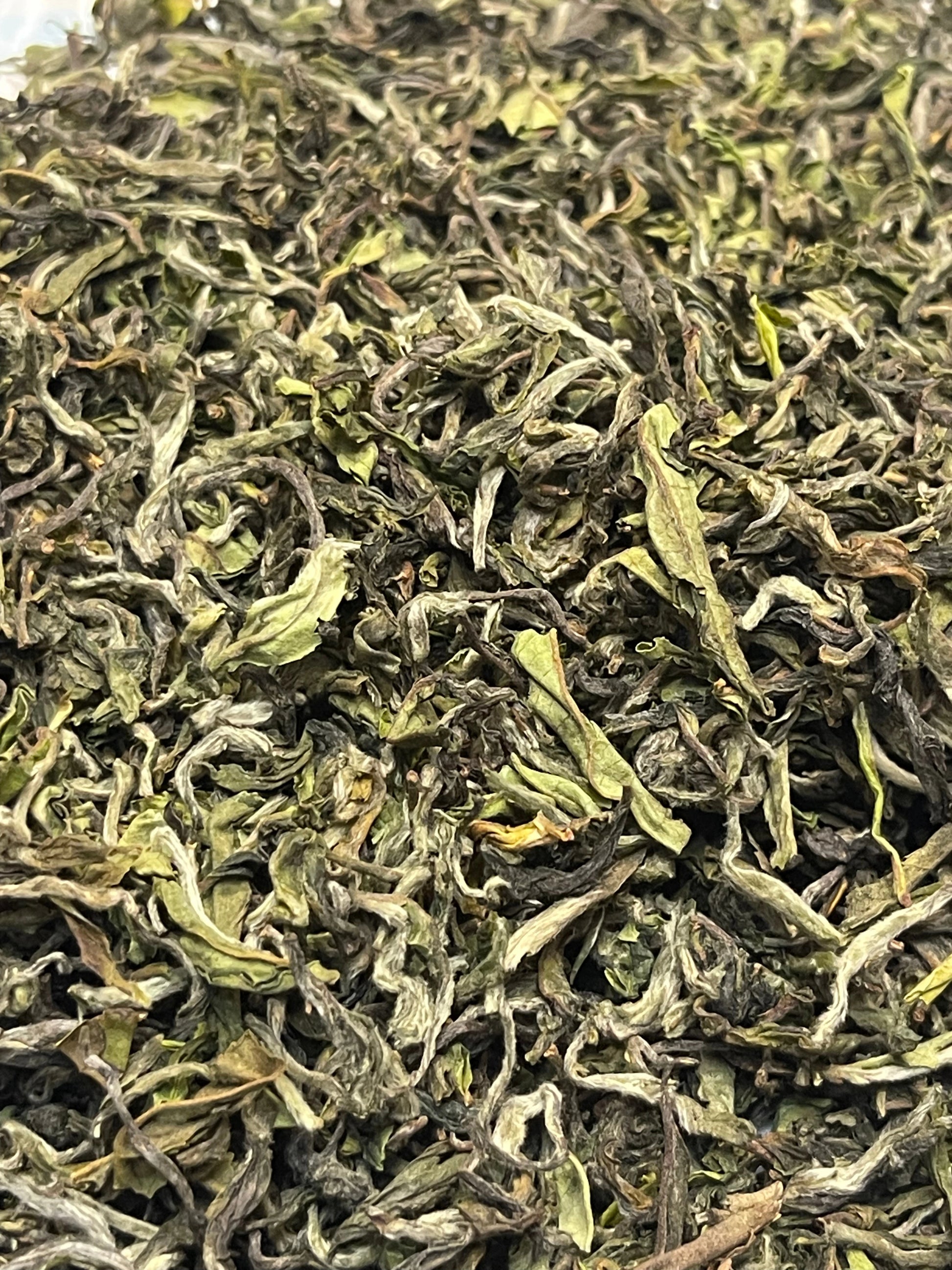 Close-up of dried green tea leaves